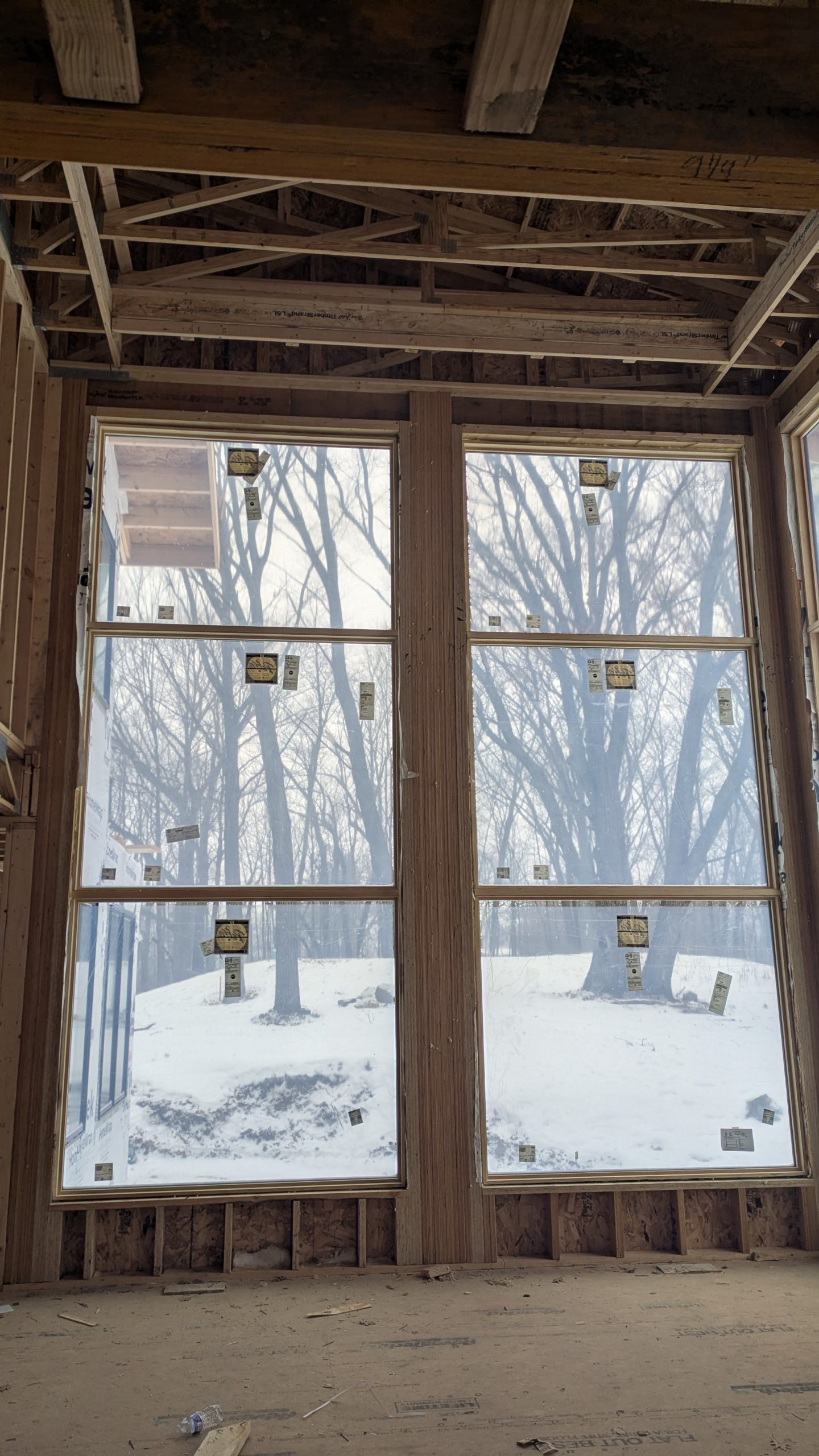 PXL_20260116_213231865.MP